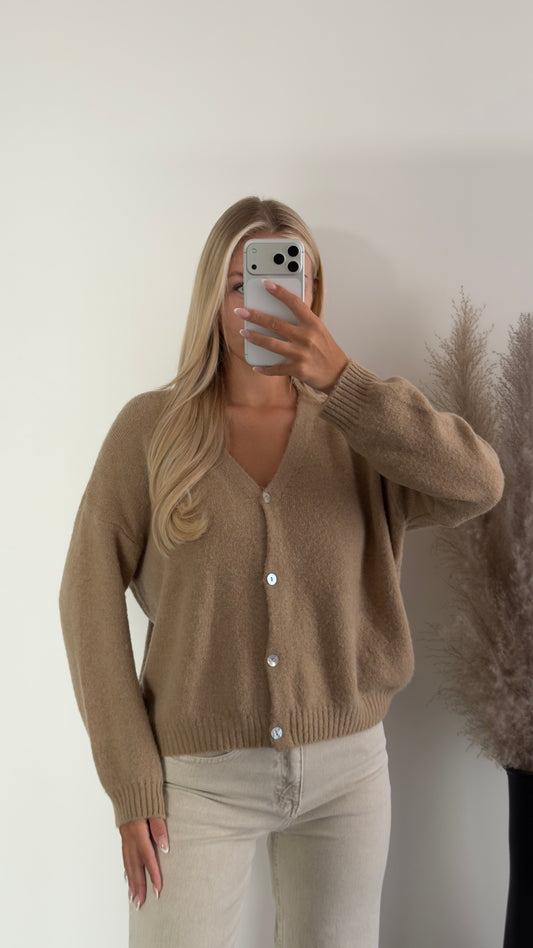 Camel Cardigan